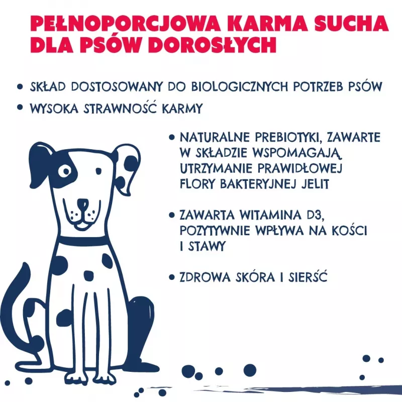 TEO Rich in beef - sausas šunų maistas - 9kg