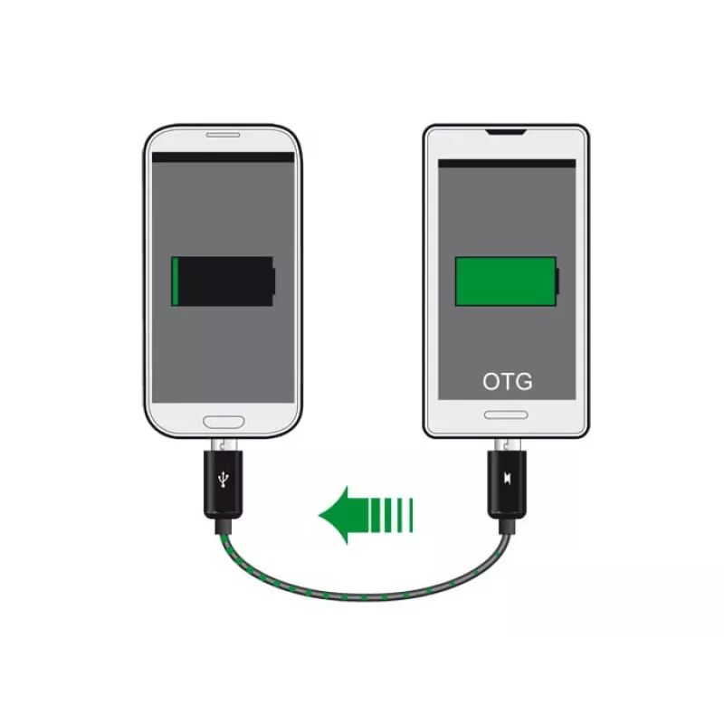 USB laidas DeLOCK 83570 USB 2.0 0,3 m USB B juodas