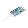 Apple Lightning į USB kabelis 1m MUQW3ZM/A