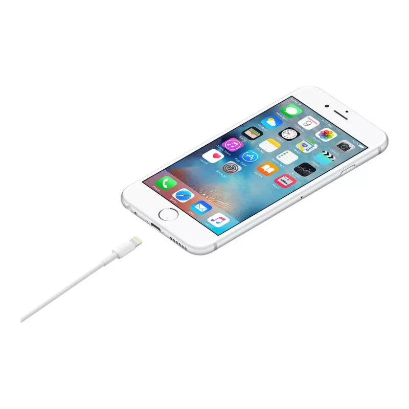 Apple Lightning į USB kabelis 1m MUQW3ZM/A