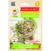 China Rose ridikėlių sėklos daigams, 20 g pakuotė