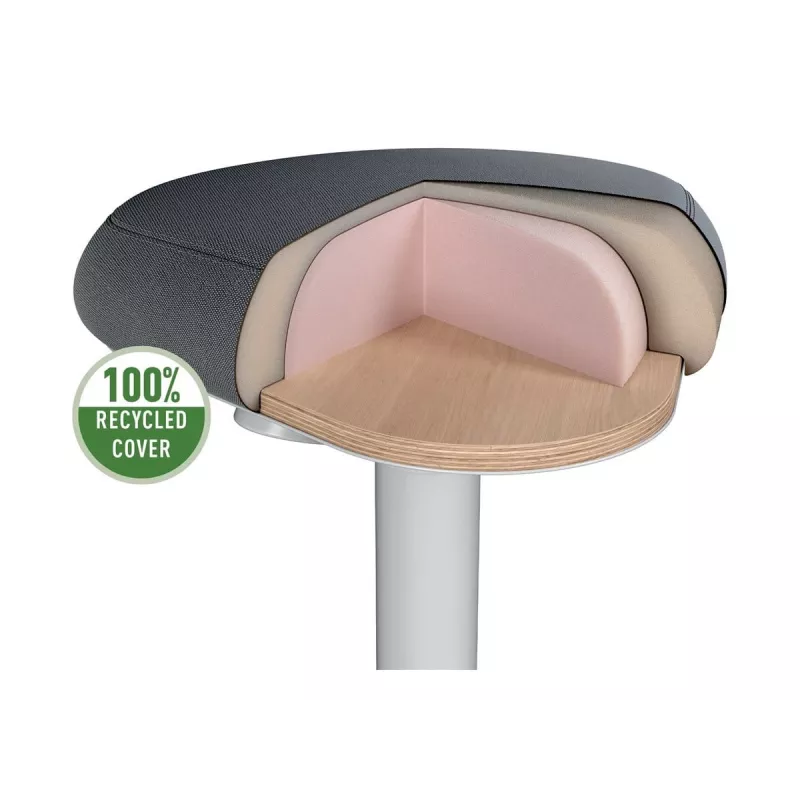 Biuro kėdė Leitz 65440085 Paminkštinta sėdynė Pilka Plastikinis rėmas