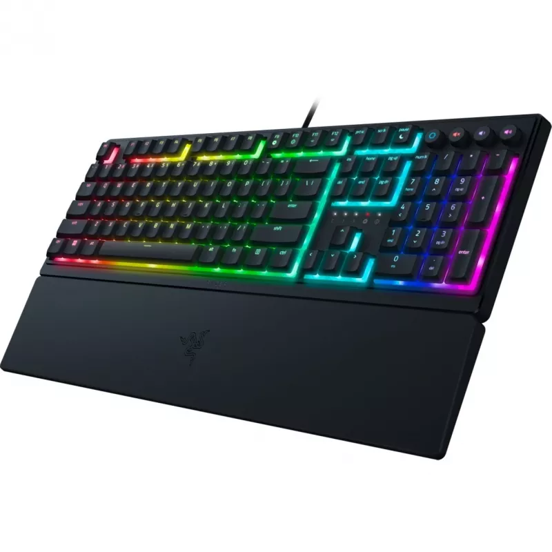 Razer RZ03-04460400-R3G1 tinklo įrenginys, juodas