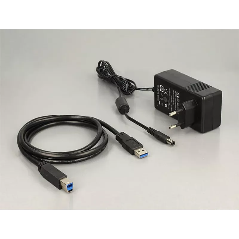Delock ZG-12300 saugojimo diskas juodas