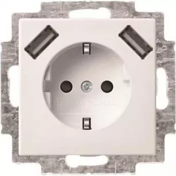 Busch-Jaeger SCHUKO jungiklio lizdas su 2x USB, 20 EUCB2USB-914 (2CKA002011A6266)
