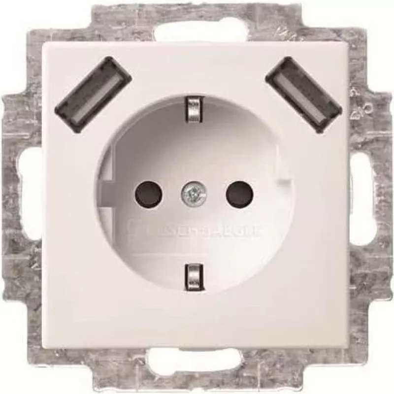 Busch-Jaeger SCHUKO jungiklio lizdas su 2x USB, 20 EUCB2USB-914 (2CKA002011A6266)