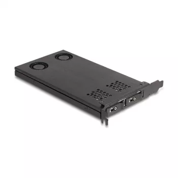 Delock PCI Express x16 kortos rėmas dviem M.2 NVMe SSD su bifurkacija 47042