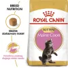 Sausas kačių maistas Royal Canin Maine Coon Kitten 2 kg — paukštiena, baltymai 36%, riebalai 23%