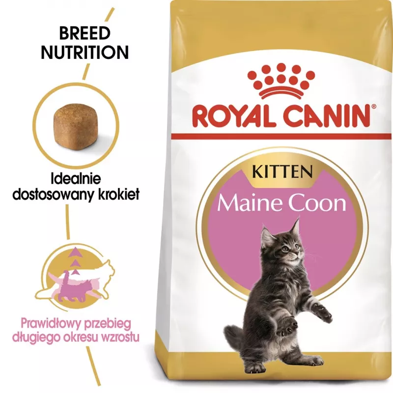 Sausas kačių maistas Royal Canin Maine Coon Kitten 2 kg — paukštiena, baltymai 36%, riebalai 23%