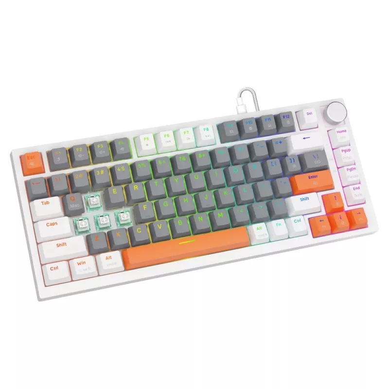 Savio ASTRAL WHITE JADE 3 SPALVŲ klaviatūra Gaming USB QWERTY US International