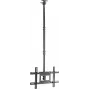 SpeaKa Professional SP-TVCM-540 TV lubinis laikiklis reguliuojamo aukščio 94,0 cm 37 - 203,2 80 (SP-13660960)