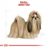 Sausas šunų maistas Royal Canin Shih Tzu Adult 7,5 kg — vištiena, 24 % baltymų, 20 % riebalų