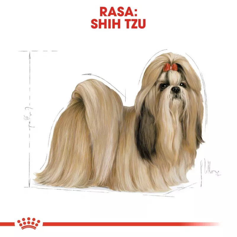Sausas šunų maistas Royal Canin Shih Tzu Adult 7,5 kg — vištiena, 24 % baltymų, 20 % riebalų