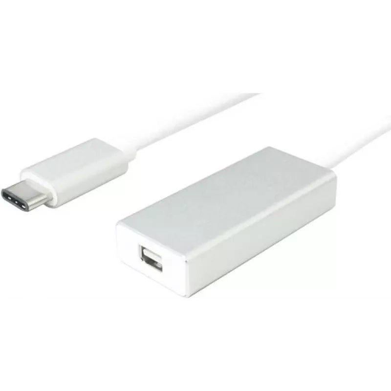 VALUE išorinis vaizdo adapteris - USB-C - Mini DisplayPort