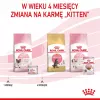 Royal Canin BABYCAT INSTINCTIVE - Drėgnas kačių maistas - 195 g