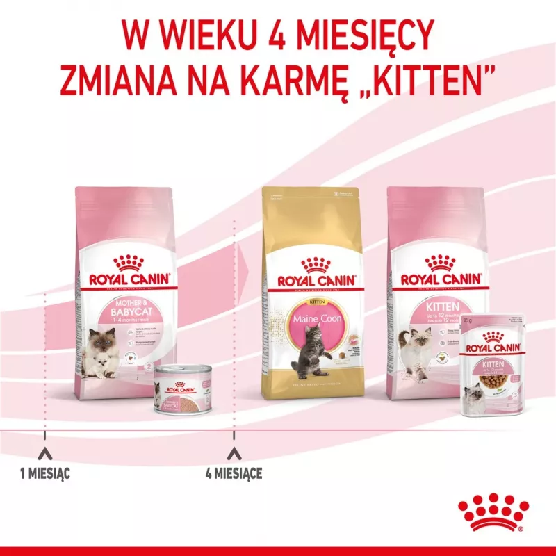Royal Canin BABYCAT INSTINCTIVE - Drėgnas kačių maistas - 195 g