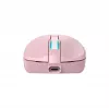 Pelė Baracuda BGM-124 Turtle Pink TURTLE-P