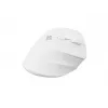 NATEC Crake 2 pelė, universali, dešiniarankiams, RF belaidė + Bluetooth optinė 2400 DPI