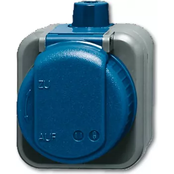 Busch-jaeger 2CKA002083A0343 Mėlyna