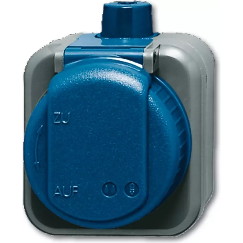 Busch-jaeger 2CKA002083A0343 Mėlyna