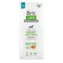 BRIT Care Adult Large Breed Salmon - sausas šunų maistas - 12 kg