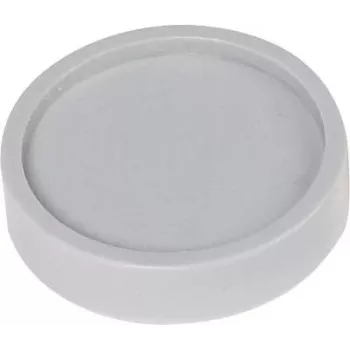 Maul Magnet (Ø x A) 30 mm x 8,4 mm Apvalus Pilkas 10 vnt. 6172384 (6172384)