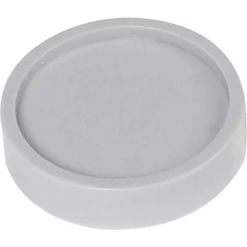 Maul Magnet (Ø x A) 30 mm x 8,4 mm Apvalus Pilkas 10 vnt. 6172384 (6172384)