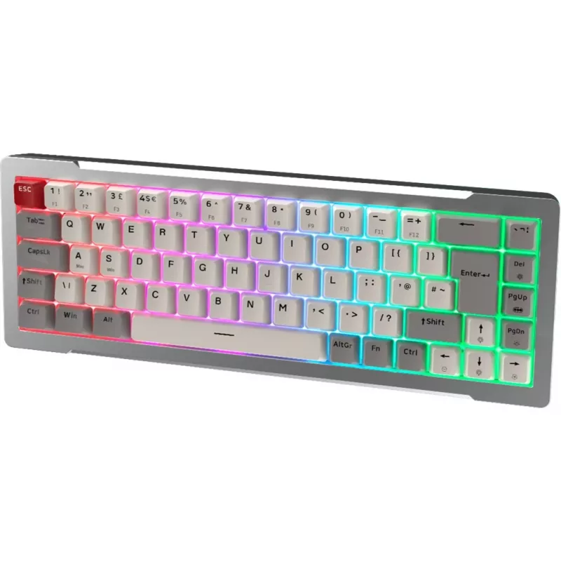 Raijintek MGA-68 žaidimų klaviatūra, Hejin Magnetic Yellow jungikliai, DE išdėstymas, sidabrinė