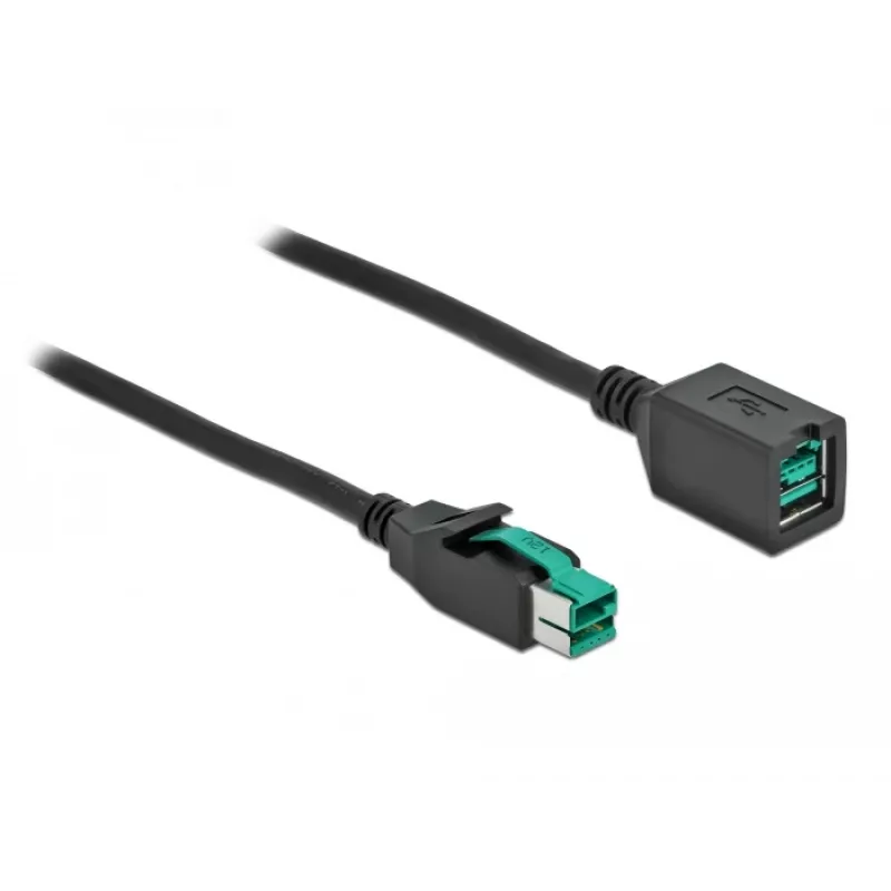 Maitinamas USB ilginimo laidas DeLOCK 85980 12 V 1 m