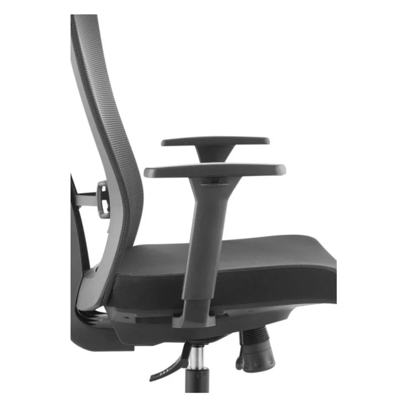 Ergonominė aukščiausios kokybės kėdė Ergo Officer ER-414