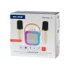 Karaoke garsiakalbis, KARAOKE RGB Bluetooth garsiakalbis, 30W