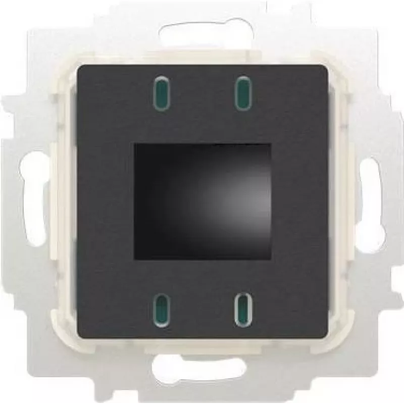 Busch-jaeger 2CKA006800A3118
