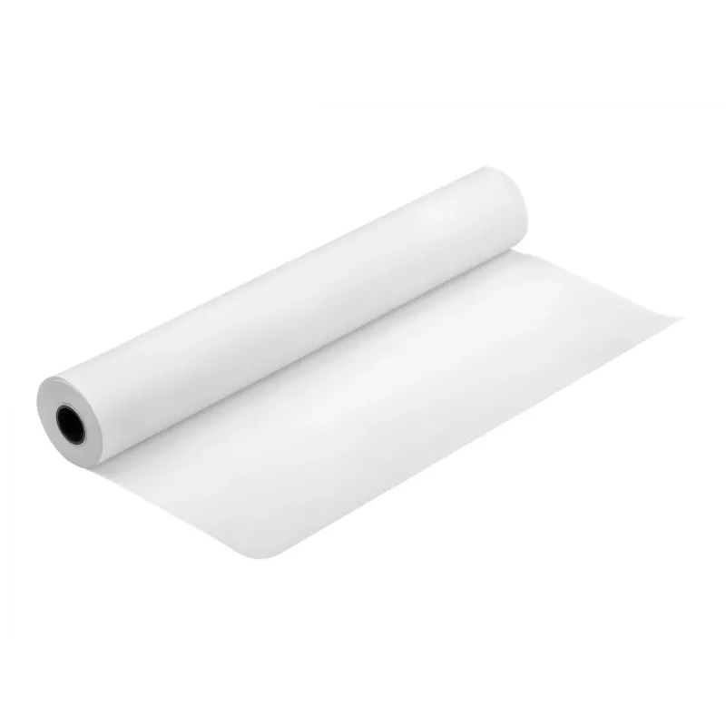 Epson Photo Paper Gloss C13S041892 17 colių x 30,5 m 250 g/m²