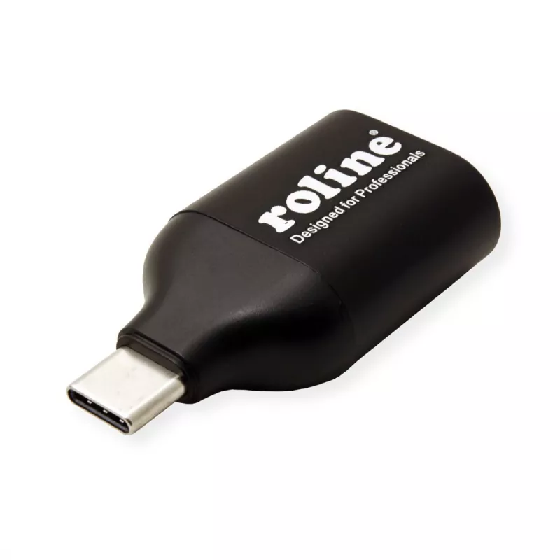 ROLINE 12.03.3228 USB grafikos adapteris 1920 x 1080 pikselių juodas (12.03.3228)