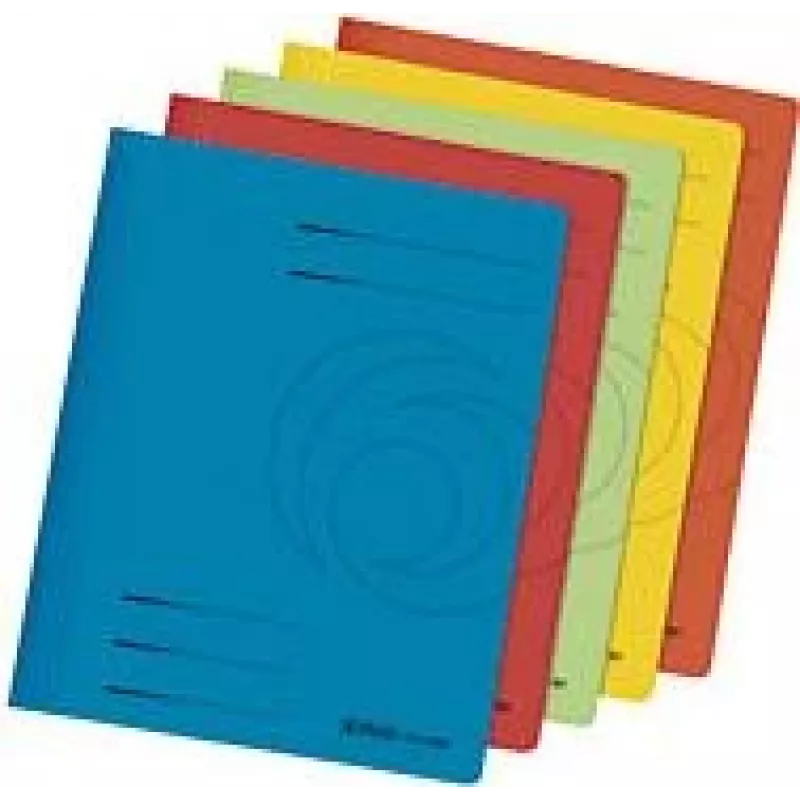 Kartonas Herlitz 11083342 5 lapai
