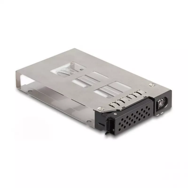 Laikmenos dėklo laikiklis DeLOCK plonas Bay Mobile Rack 2 x 2,5 col. U.2 NVMe SSD juodas