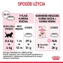 Sausas kačių maistas Royal Canin Kitten 2 kg — paukštienos (vištienos) formulė, baltymai 36%, riebalai 18%