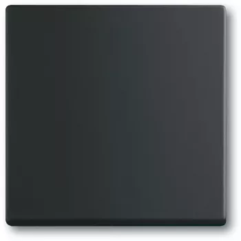 Šviesos jungiklis Busch-Jaeger 1751-0-3041, plastikinis korpusas, juodas, mygtukai, 63×63 mm
