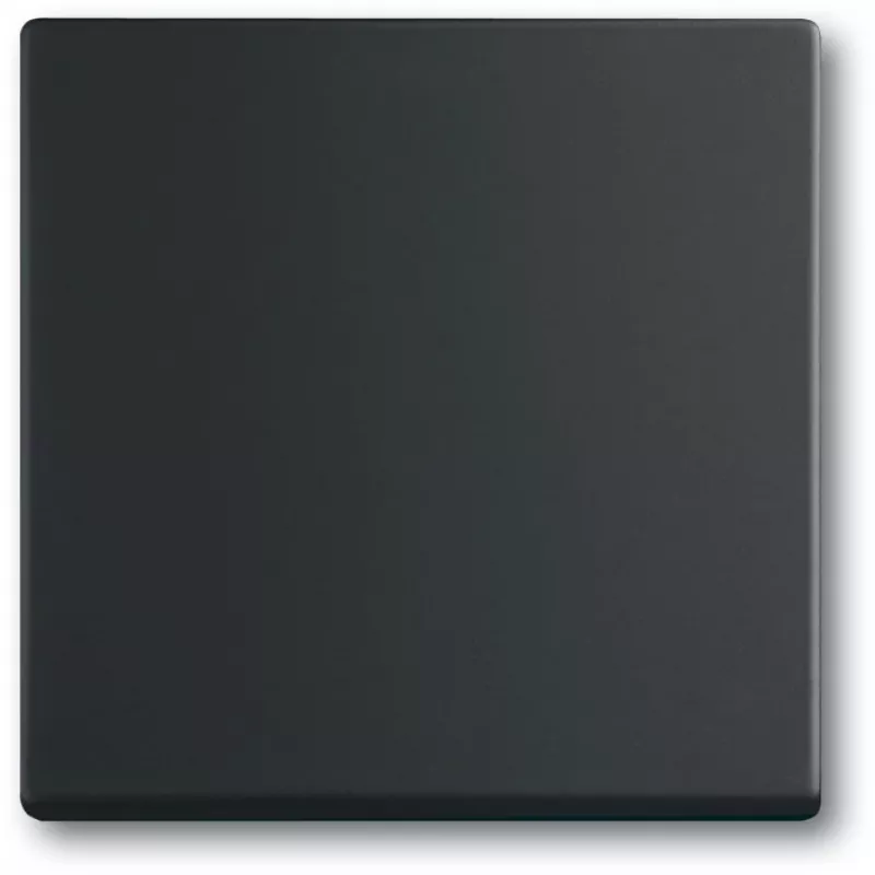 Šviesos jungiklis Busch-Jaeger 1751-0-3041, plastikinis korpusas, juodas, mygtukai, 63×63 mm