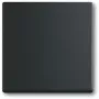 Šviesos jungiklis Busch-Jaeger 1751-0-3041, plastikinis korpusas, juodas, mygtukai, 63×63 mm
