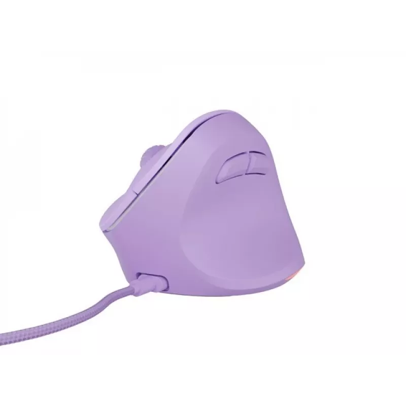 „NATEC Crake 2 Pro“ pelė universali dešiniarankė USB-A optinė 12800 DPI