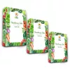 Toraf Seed Set - Rinkinys 3X3 2024 Toraf 24X1PCS