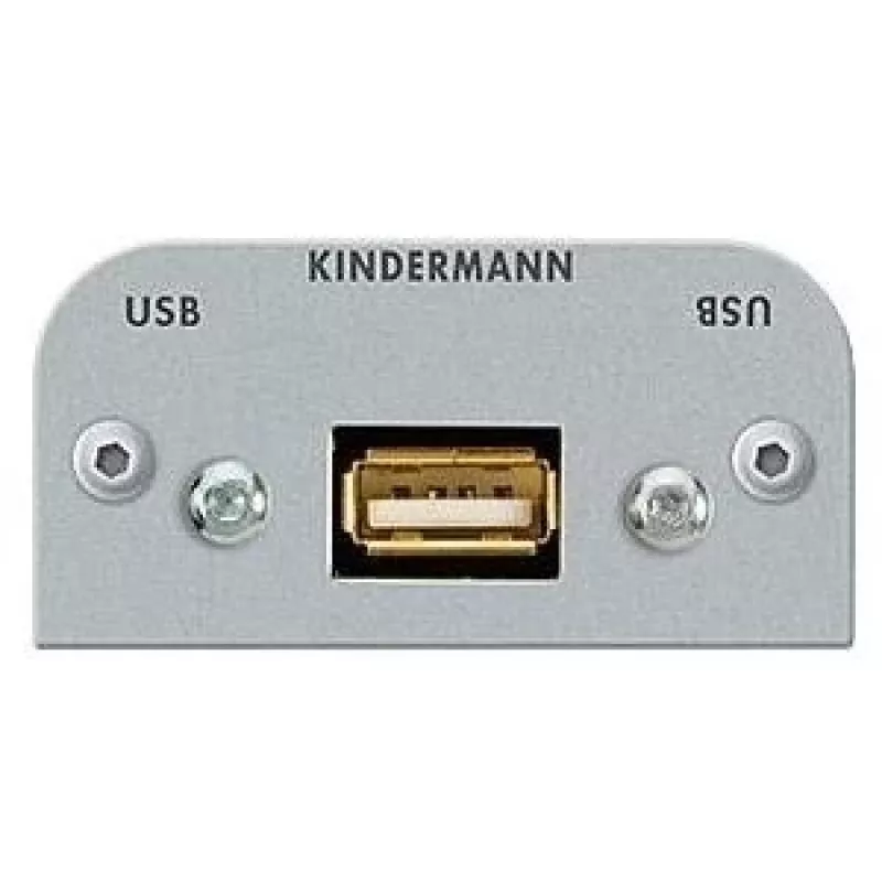 Kištukinis lizdas USB A Kindermann 7441000522