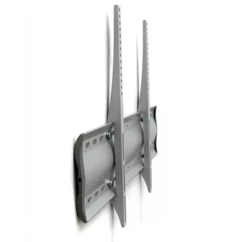 Ergotron 60-602-003 Sidabrinis