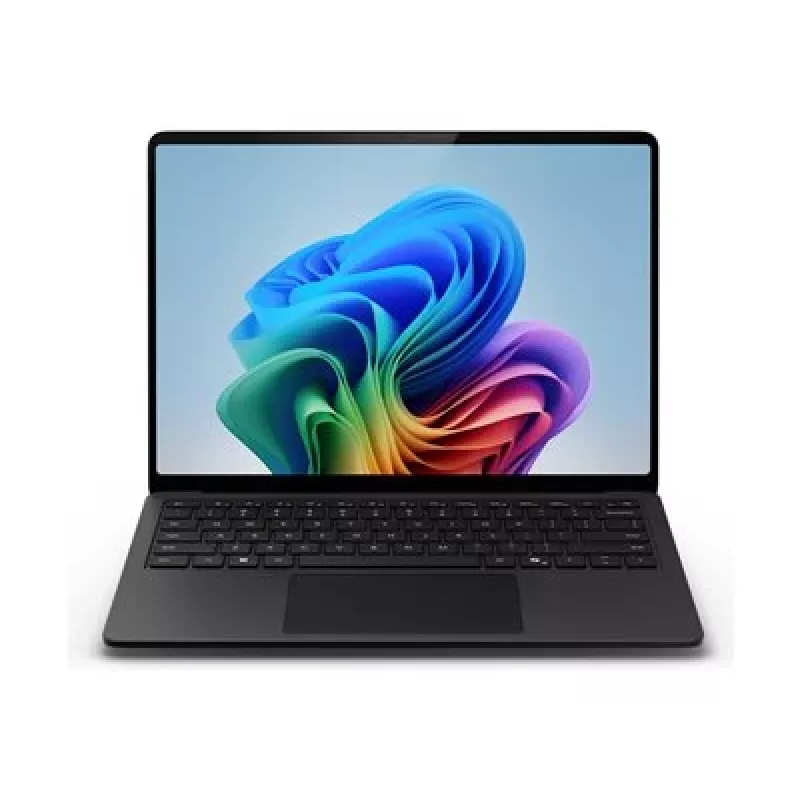 Microsoft ZYT-00050 kietojo kūno diskas juodas