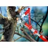Priekalo medžių genėjimo žirklės WOLF-Garten RC-M
