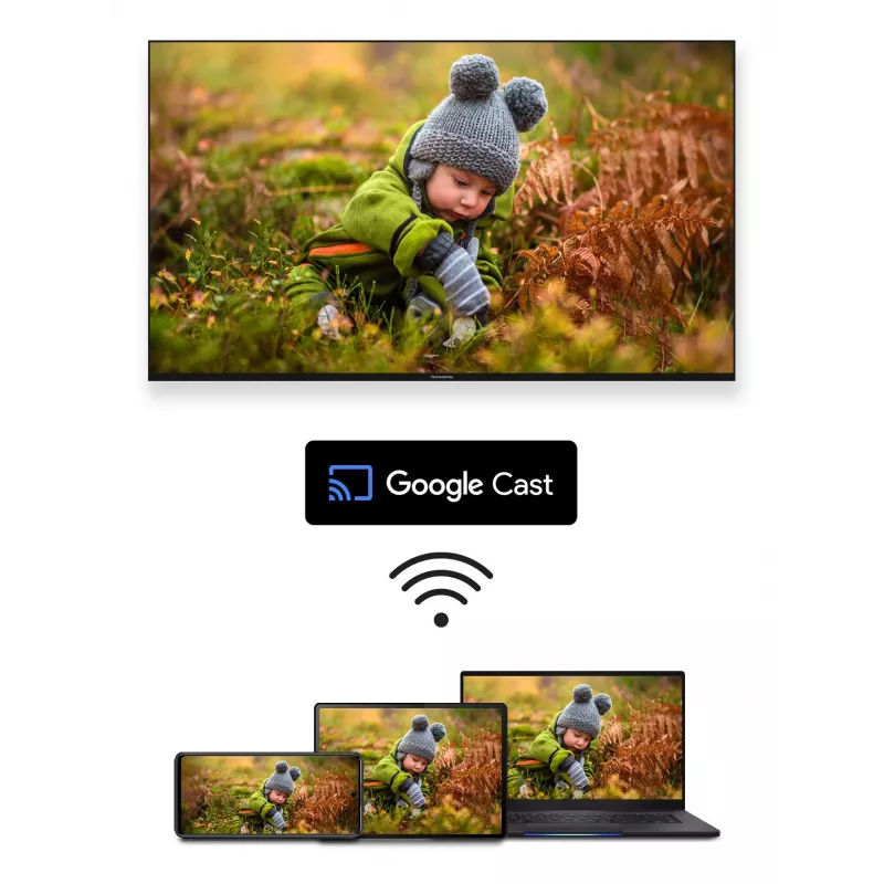 TV priedas laikmena Google TV 4K/145 Thomson