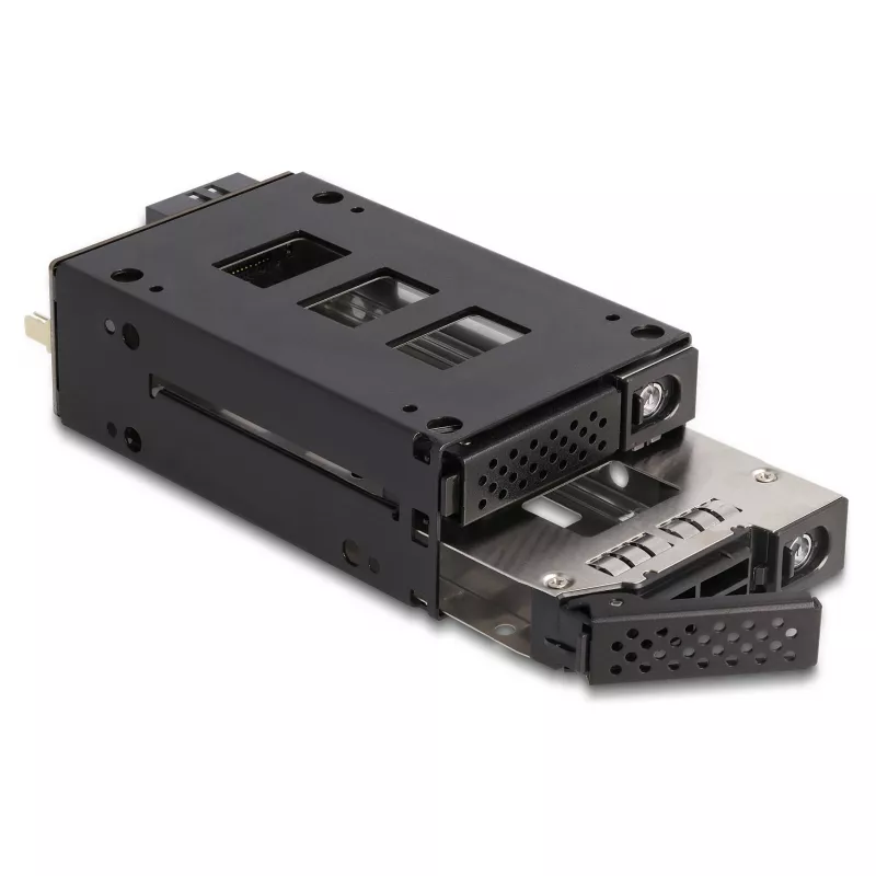 Laikmenos dėklo laikiklis DeLOCK plonas Bay Mobile Rack 2 x 2,5 col. U.2 NVMe SSD juodas