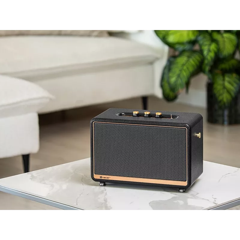 Nešiojamasis stereofoninis garsiakalbis TRACER M45 juodas — Bluetooth 5.0, 45 W RMS, FM radijas, įmontuotas mikrofonas, maitinamas baterijomis