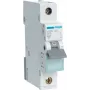 Hager MBN106. Kintamosios srovės įėjimo dažnis: 50/60 Hz, Nominali išėjimo srovė: 6 A (MBN106)